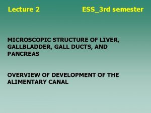 Lecture 2 ESS3 rd semester MICROSCOPIC STRUCTURE OF