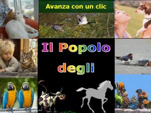 Avanza con un clic Ben pochi lo sanno