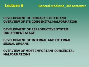 Lecture 6 General medicine3 rd semester DEVELOPMENT OF