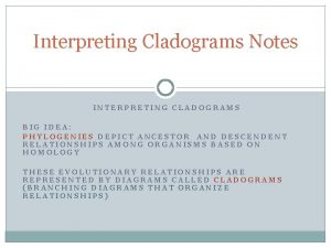 Interpreting Cladograms Notes INTERPRETING CLADOGRAMS BIG IDEA PHYLOGENIES