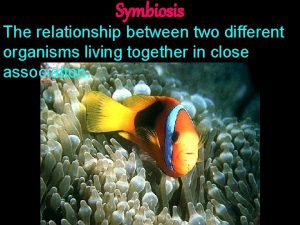 Two different organisms living together