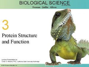 BIOLOGICAL SCIENCE Freeman Quillin Allison 3 Protein Structure