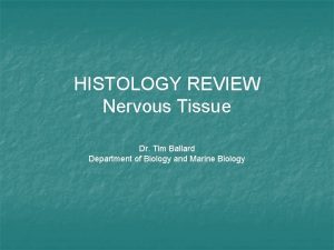 HISTOLOGY REVIEW Nervous Tissue Dr Tim Ballard Department