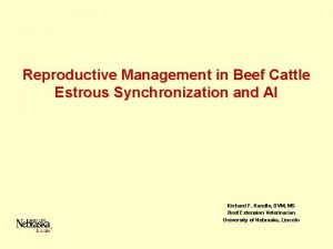 Reproductive Management in Beef Cattle Estrous Synchronization and