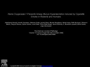 Heme Oxygenase1 Prevents Airway Mucus Hypersecretion Induced by