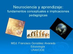 Neurociencia y aprendizaje fundamentos conceptuales e implicaciones pedaggicas