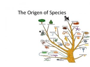 The Origen of Species Ch 24 Macroevolution Evolution