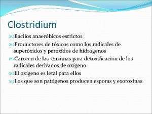 Clostridium Bacilos anaerbicos estrictos Productores de txicos como
