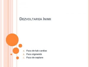 DEZVOLTAREA INIMII A Faza de tub cardiac B