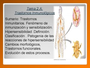 Tema 2 A Trastornos Inmunolgicos Sumario Trastornos Inmunitarios