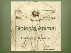 Biologia Animal Fisiologia Comparada Professora Ana Carolina Os