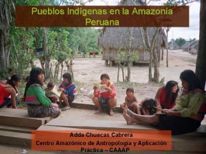 Pueblos Indgenas en la Amazona Peruana Adda Chuecas