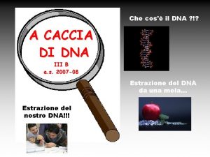 Che cos il DNA A CACCIA DI DNA