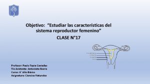 Objetivo Estudiar las caractersticas del sistema reproductor femenino