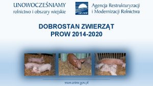 DOBROSTAN ZWIERZT PROW 2014 2020 Plan prezentacji q