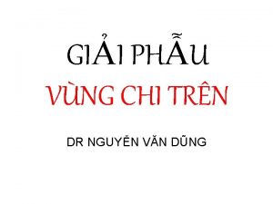 GII PHU VNG CHI TRN DR NGUYN VN