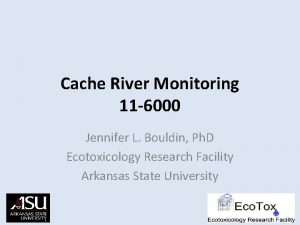 Cache River Monitoring 11 6000 Jennifer L Bouldin