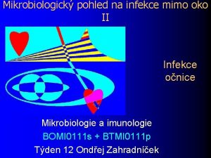 Mikrobiologick pohled na infekce mimo oko II Infekce