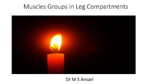 Muscles Groups in Leg Compartments Learning Objectives Crosssection