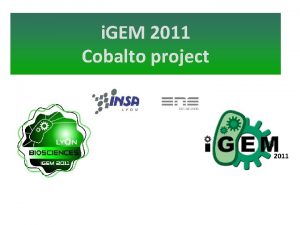 i GEM 2011 Cobalto project 2011 Our Cobalto