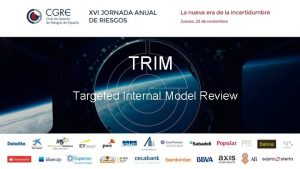 TRIM Targeted Internal Model Review TRIM Targeted Review