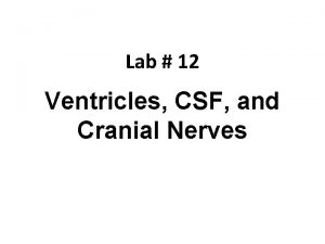 Lab 12 Ventricles CSF and Cranial Nerves The