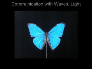 Communication with Waves Light The electromagnetic spectrum Insects