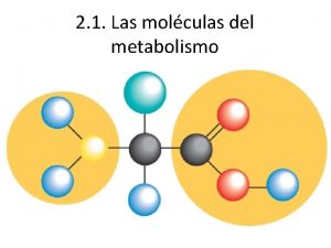 2 1 Las molculas del metabolismo Los tomos