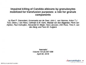 Impaired killing of Candida albicans by granulocytes mobilized