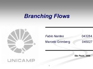Branching Flows Fabio Nantes 043284 Marcelo Grimberg 045027