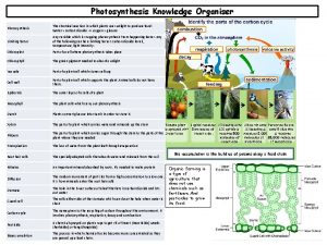 Photosynthesis knowledge organiser