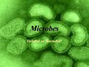 Microbes Helpful or Harmful Microbes Defined A Microbe