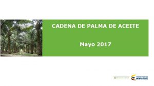 CADENA DE PALMA DE ACEITE Mayo 2017 INDICADORES