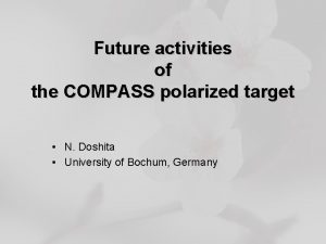 Future activities of the COMPASS polarized target N