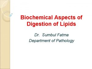 Biochemical Aspects of Digestion of Lipids Dr Sumbul