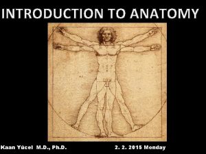 INTRODUCTION TO ANATOMY Kaan Ycel M D Ph