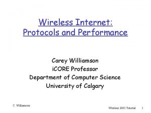 Wireless Internet Protocols and Performance Carey Williamson i