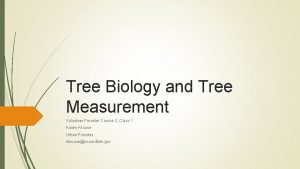 Tree Biology and Tree Measurement Volunteer Forester Course