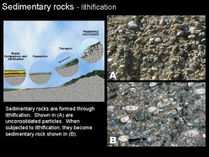 In sedimentary rocks lithification includes