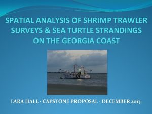 SPATIAL ANALYSIS OF SHRIMP TRAWLER SURVEYS SEA TURTLE