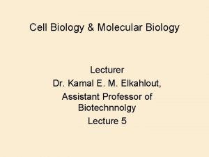 Cell Biology Molecular Biology Lecturer Dr Kamal E