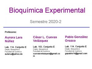 Bioqumica Experimental Semestre 2020 2 Profesores Aurora Lara