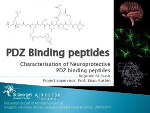 PDZ Binding peptides Characterisation of Neuroprotective PDZ binding