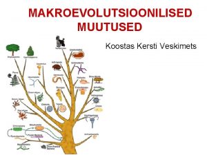 MAKROEVOLUTSIOONILISED MUUTUSED Koostas Kersti Veskimets Makroevolutsiooniks nim liigist