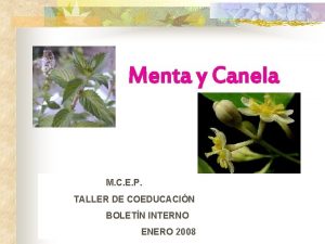 Menta y Canela M C E P TALLER