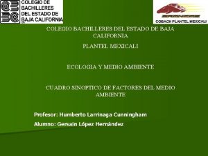 COLEGIO BACHILLERES DEL ESTADO DE BAJA CALIFORNIA PLANTEL