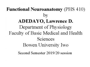 Functional Neuroanatomy PHS 410 by ADEDAYO Lawrence D