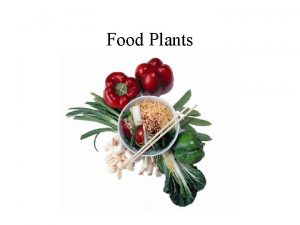 Food Plants Modern Day Inuit Greenland Contemporary HunterGatherers