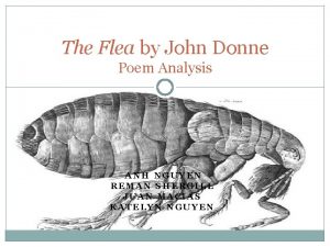 The flea by john donne analysis