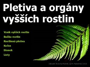 Pletiva a orgny vych rostlin Vznik vych rostlin